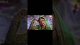 Maar Dala Song by Shaheen Pathan [upl. by Winchester992]