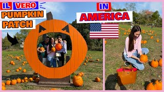 UN’ESPERIENZA TIPICA AMERICANA PUMPKIN PATCH 🎃 E SUPER HAUL CASA 🇺🇸 [upl. by Luo]