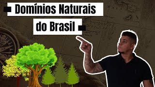 Domínios Naturais  Vegetação Brasileira [upl. by Philipson628]