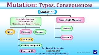 Mutation Types amp Consequences  Molecular Biology  Biochemistry  NJOY Biochemistry [upl. by Israeli994]