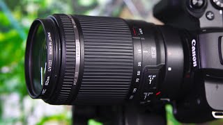 Tamron EFS 18200mm f3563 Di II VC Lens Details  ft Canon M50 amp 30D Tests [upl. by Palgrave]