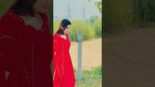 Mann Basgi  Shiqaari  Sinta Bhai  Vaishali Chaudhary  New Haryanvi Songs 2024 mannbasgi [upl. by Maxim54]