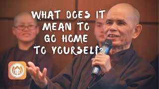 What does it mean to go home to yourself  Thich Nhat Hanh answers questions [upl. by Kissner358]