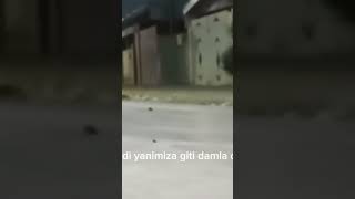 Yanımızda bestiml damala da var [upl. by Asiralc]