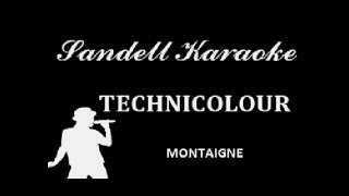 Montaigne  Technicolour Karaoke [upl. by Dlnaod203]