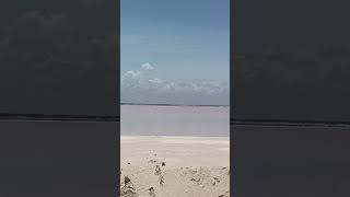 Las Coloradas Yucatan [upl. by Shipley175]