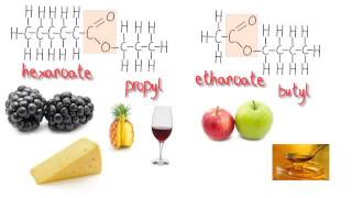 Esters 5 Found in fruit Structures and systematic names [upl. by Alwitt]