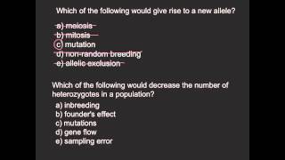 Which of the following give a rise to a new allele [upl. by Bordiuk521]