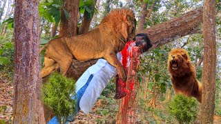 Lion Attack Man in Forest  Lion Attack Hunter  Lion Attack Stories Part3 [upl. by Akirdna187]