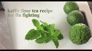 Kaffir Lime Honey Tea Recipe for Flu Fighting มะกรูด [upl. by Eelyrehc]