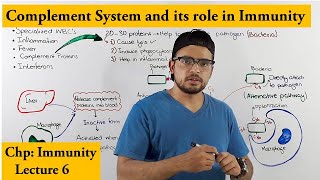 Complement System An immune response of Innate Immunity [upl. by Trudie]