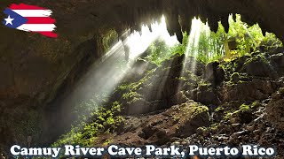 Camuy River Cave National Park Exploring Puerto Rico [upl. by Morra]