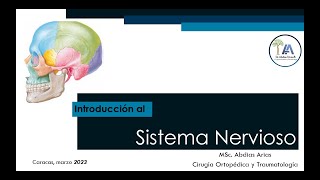 Introducción al Sistema Nervioso Mar 23 [upl. by Ellohcin]