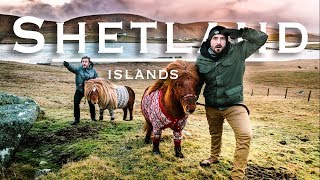 The Shetland Islands  The Unbelievable Hidden Treasure of Scotland [upl. by Garwin553]