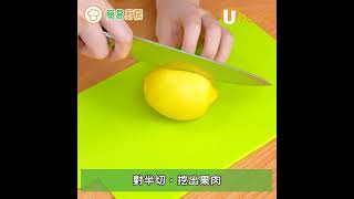 3種材料Lemon Posset檸檬忌廉雪芭食譜 清新開胃！簡單3步夏日免焗甜品 [upl. by Aleka]