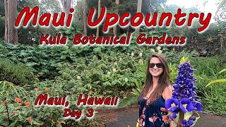 Kula Botanical Gardens  Maui Hawaii Vacation Day 3 [upl. by Crotty143]