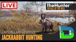 TheHunter Call of the Wild  Jackrabbit Hunting Elmer Fudd Simulator  Road to 200 Subscribers [upl. by Annoya]