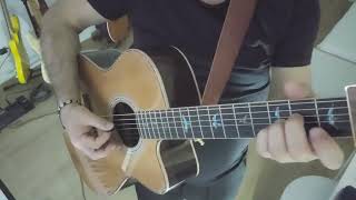 Playing With  STING  I was brought to my senses guitar cover [upl. by Jannelle]