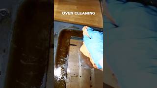 Satisfying Oven Cleaning [upl. by Ultun]