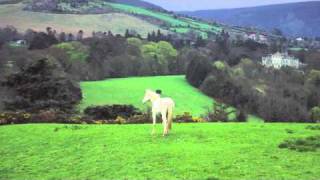 Chuaigh Me Na Rosann  Irish Celtic Music [upl. by Johny179]