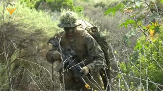 U S Marines with Combat Engineer Battalion conduct ground reconnaissance patrol training [upl. by Llennol]