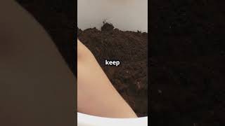 Stop Root Rot Prevention amp Fixes knowledge garden gardening roots tips tipsandtricks plants [upl. by Yeo]