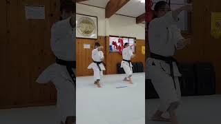 rika usami martialarts [upl. by Sheridan]