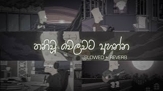 තනියම ඉන්න වෙලාවට අහන්න sinhala slowed and reverb collection  DEZTER BEATS [upl. by Sicnarf]