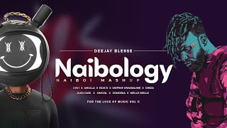 Naibology  Deejay Blesse [upl. by Graehl]