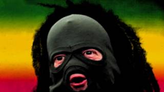 STALKER Bandit Radio  REGGAE REMIX Cheeki Breeki [upl. by Suissac]