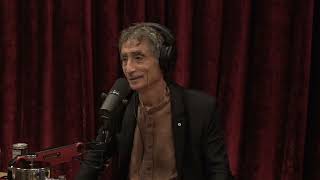 Joe Rogan Experience 1869  Dr Gabor Mate [upl. by Zalea270]