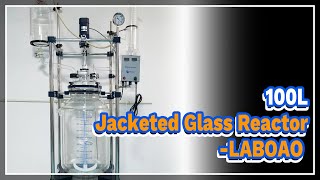 100L Jacketed Glass Reactor  LABOAO [upl. by Aimahc]