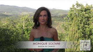 Traveling in Tuscany Uncorking Chianti Classico  Wine Oh TV [upl. by Bogie183]