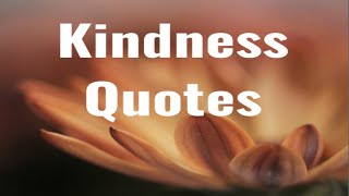 Kindness Quotes and Sayings  Kindness best Ever Quotes [upl. by Cusick]