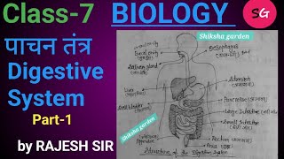 जीव विज्ञान BIOLOGYCH7 पाचन तंत्रDigestive System PART1 SSC RLY BSSC BPSC by Rajesh sir [upl. by Janie]