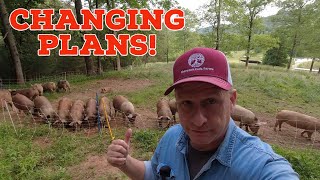 The FUTURE Of Our Pastured Pig Operation [upl. by Larner]