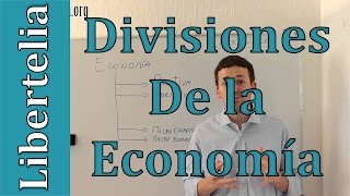 Divisiones de la economía  Conceptos Económicos  Economia  Liberteliaorg [upl. by Sall]