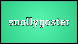 Snollygoster Meaning [upl. by Novej]