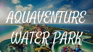 Aquaventure Waterpark in Atlantis Dubai [upl. by Zolner]