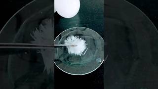 Sodium Acetate Freeze The Water [upl. by Menard]