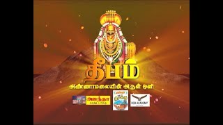 Thanthi TV Live  திருவண்ணாமலை மகா தீபம் 2018  Tiruvannamalai Deepam 2018 [upl. by Courtnay]