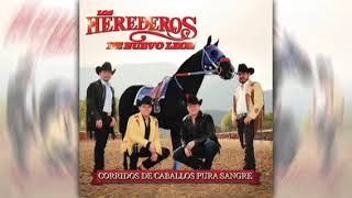 Los Herederos De Nuevo Leon  Corridos De Caballos De Pura Sangre Album Completo [upl. by Ytsud]