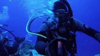 First Dive Molokini Crater  Maui Hawaii [upl. by Yanehc]