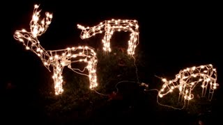 Box Opening 3 Piece Lighted Deer Family Outside Christmas Decorations  December 20 2014 [upl. by Anoynek636]