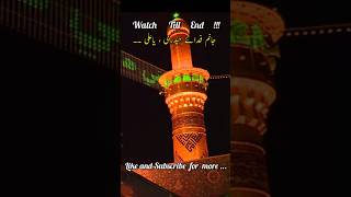 Janam Fida e Haideri Ya Ali by Sadiq Hussain  Best Islamic Status  Yom e Shahadat Hazrat Ali RA [upl. by Hanoj]