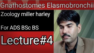 Lec4Gnathostomes Elasmobronchii Zoology Miller Harley ADS BS BSc Urdu Hindi [upl. by Inatirb]