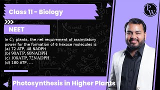 In C3 plants the net requirement of assimilatory power for the formation of 6 hexose molecules [upl. by Neenad862]