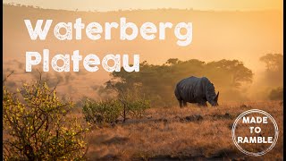 Walking with Rhinos 4WD Camping at Waterberg Plateau Namibia [upl. by Elenaj]