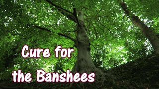 A Forest Cure For the Banshees [upl. by Oab]