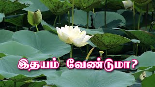 அனைத்து இதய நோய்களுக்கும் நிரந்தர தீர்வு  heart block herbal treatment  Cardiology  64tamilcom [upl. by Rodmann]